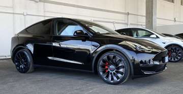 Performance Dual Motor awd