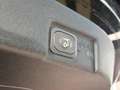 Ford Puma ST-Line | ACC | Winter-Paket | Allwetter | LED Schwarz - thumbnail 6