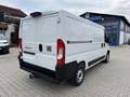 Fiat Ducato KASTENWAGEN 33 L2H1 140MT Weiß - thumbnail 4