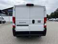 Fiat Ducato KASTENWAGEN 33 L2H1 140MT Weiß - thumbnail 5