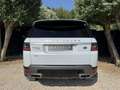 Land Rover Range Rover Sport 3.0 TDV6 258CH HSE MARK VI Blanc - thumbnail 8