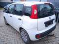 Fiat Panda 1.2  HU & AU Neu! Blanc - thumbnail 3