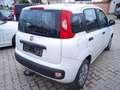 Fiat Panda 1.2  HU & AU Neu! Blanc - thumbnail 4