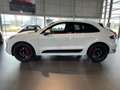 Porsche Macan GTS Aut. Blanco - thumbnail 9