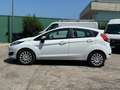 Ford Fiesta VAN 1.5 TDCI 5 PORTE 4 POSTI - 2017 Wit - thumbnail 6