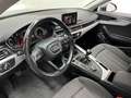 Audi A4 A4 Avant 2.0 tdi ultra Business 150cv my16 Grigio - thumbnail 20