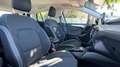Ford Focus SW 1.5 ecoblue Business Co-pilot s&s 120cv auto Blauw - thumbnail 16
