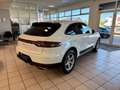 Porsche Macan PDK ACC/ Kamera/ Standheizung Weiß - thumbnail 5