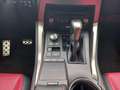 Lexus NX 300h F SPORT Grijs - thumbnail 16