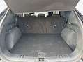 Ford Kuga 2.5 Duratec FHEV 4x4 TITANIUM Schwarz - thumbnail 6