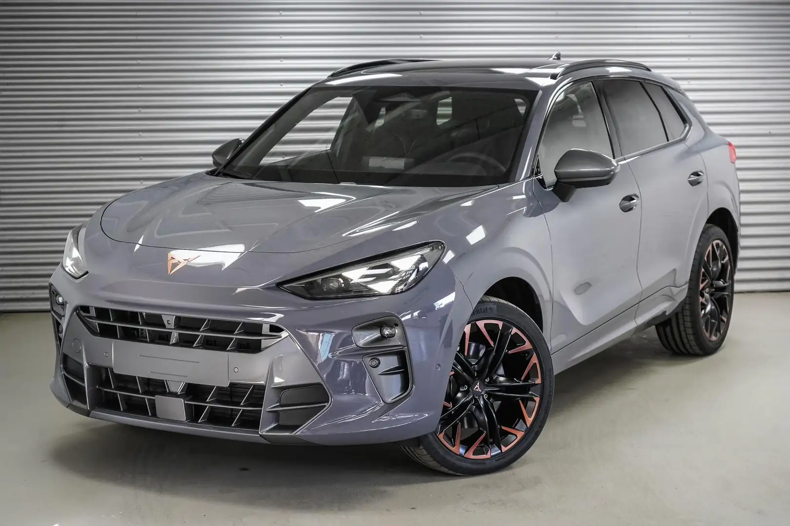 CUPRA Terramar 2,0 TSI DSG 4Drive VZ - LAGER 195 kW (265 PS), ... Grau - 1