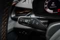 CUPRA Terramar 2,0 TSI DSG 4Drive VZ - LAGER 195 kW (265 PS), ... Grau - thumbnail 10