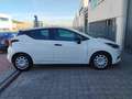 Nissan Micra IG-T Visia 92 Blanco - thumbnail 9