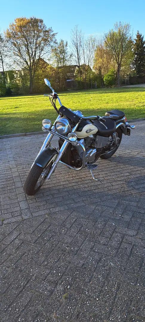 Honda Shadow 750 Honda shadow vt750 ace 2 Vert - 1