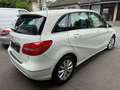 Mercedes-Benz B 200 B-Klasse, PDC v&h Kamera,Navi.,Automatik Blanc - thumbnail 4