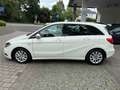 Mercedes-Benz B 200 B-Klasse, PDC v&h Kamera,Navi.,Automatik Blanc - thumbnail 6
