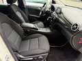 Mercedes-Benz B 200 B-Klasse, PDC v&h Kamera,Navi.,Automatik Blanc - thumbnail 17