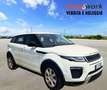 Land Rover Range Rover Evoque 2.0 TD4 150 CV 5p. SE Dynamic Weiß - thumbnail 3