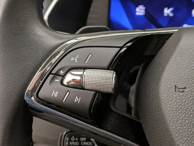 Skoda Octavia view 9