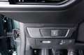 Dacia Sandero Stepway Grün - thumbnail 14