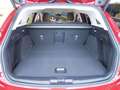 Ford Focus Turnier 1,0 EcoBoost Hybrid Active X Aut. Rot - thumbnail 23