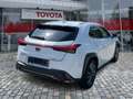 Lexus UX 250h UX 250 h 250h F Sport ACC FLA 360 SpurW Leder Wit - thumbnail 4