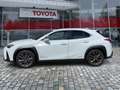 Lexus UX 250h UX 250 h 250h F Sport ACC FLA 360 SpurW Leder Wit - thumbnail 2