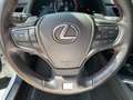 Lexus UX 250h UX 250 h 250h F Sport ACC FLA 360 SpurW Leder Wit - thumbnail 17