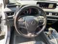 Lexus UX 250h UX 250 h 250h F Sport ACC FLA 360 SpurW Leder Wit - thumbnail 11