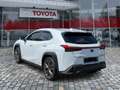 Lexus UX 250h UX 250 h 250h F Sport ACC FLA 360 SpurW Leder Wit - thumbnail 3