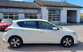 Nissan Pulsar 1,2 Acenta DIG-T Sitzheizung Blanc - thumbnail 3