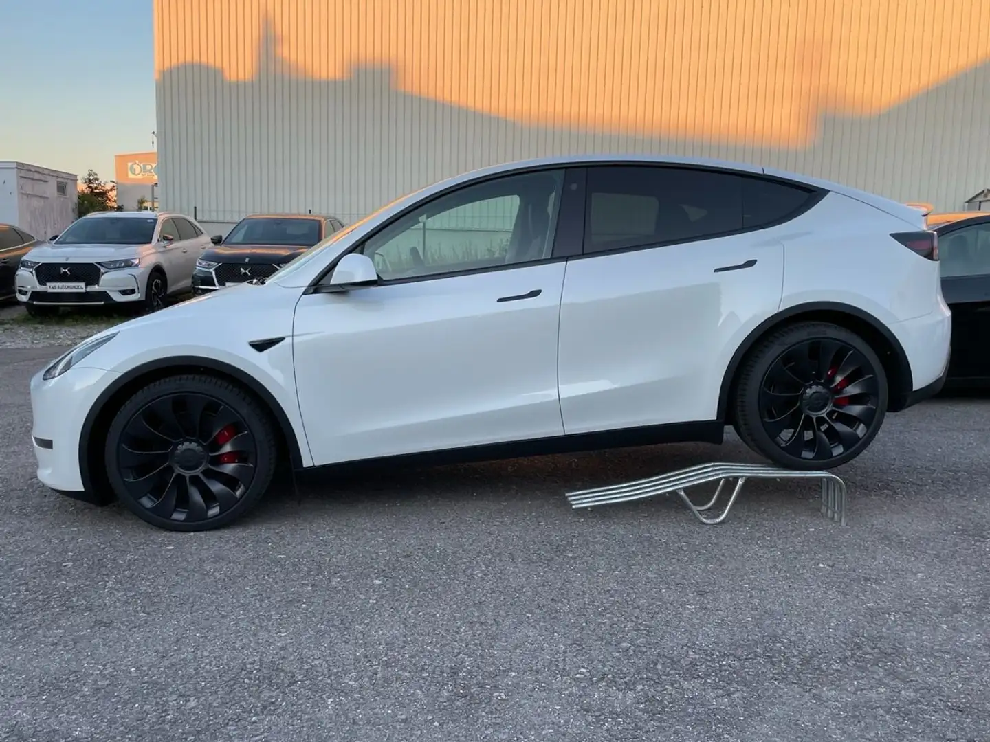 Tesla Model Y Performance Top Zustand! Preis Netto 39500 € Blanc - 2