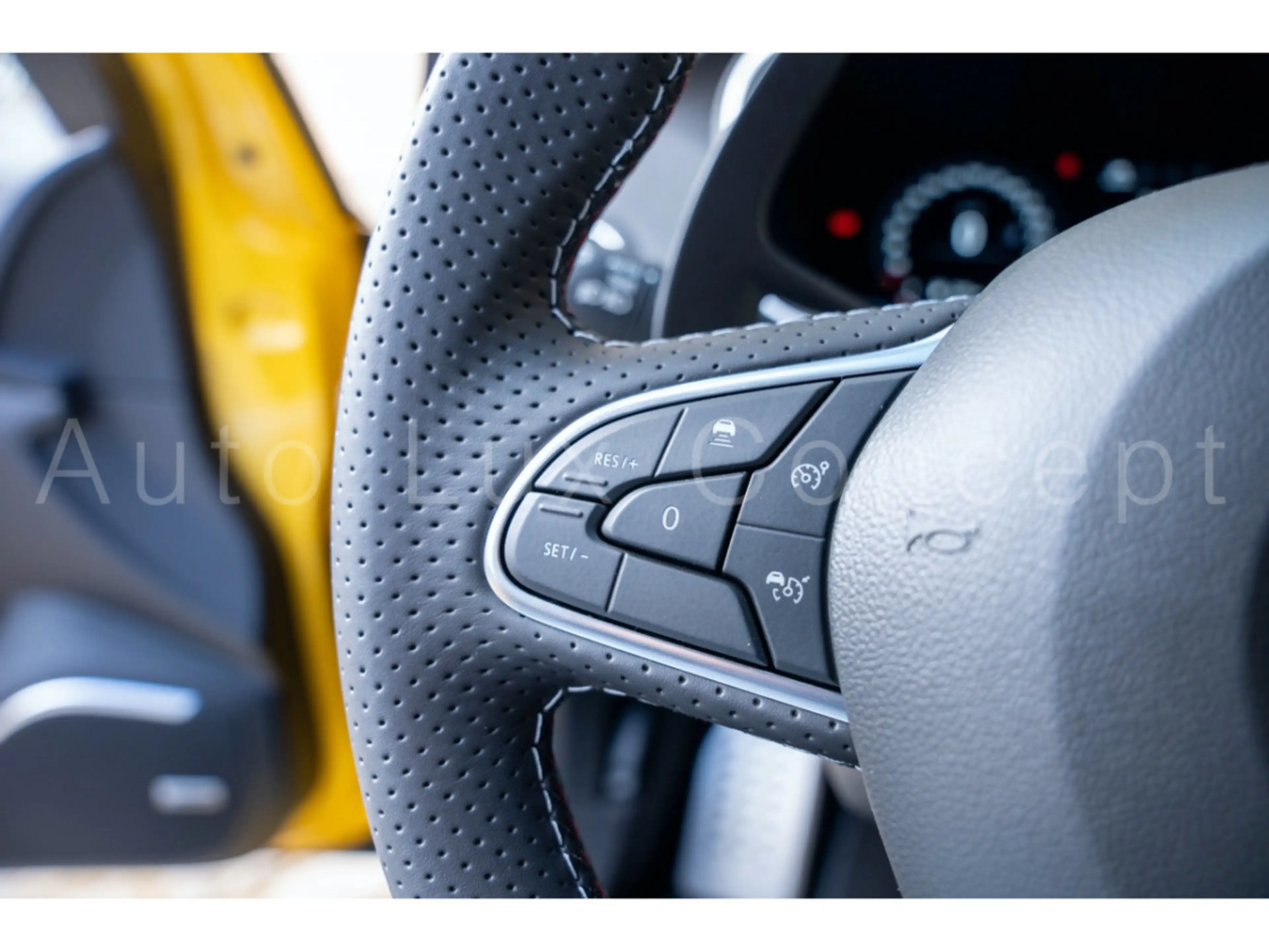 Renault Megane RS Ultime TCe 300 EDC/Pano/HUD/Kamera/ACC — photo 11