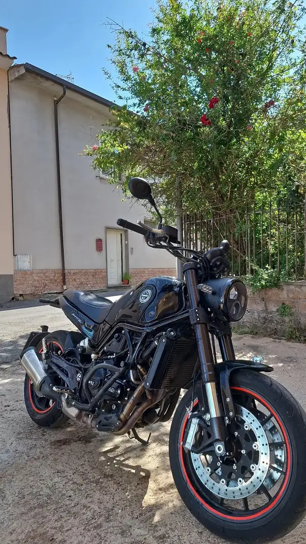 Benelli Leoncino Negro - 1