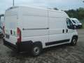 Fiat Ducato Hochr.-Kasten 33 120 L2H2 37680Km Klima Weiß - thumbnail 7
