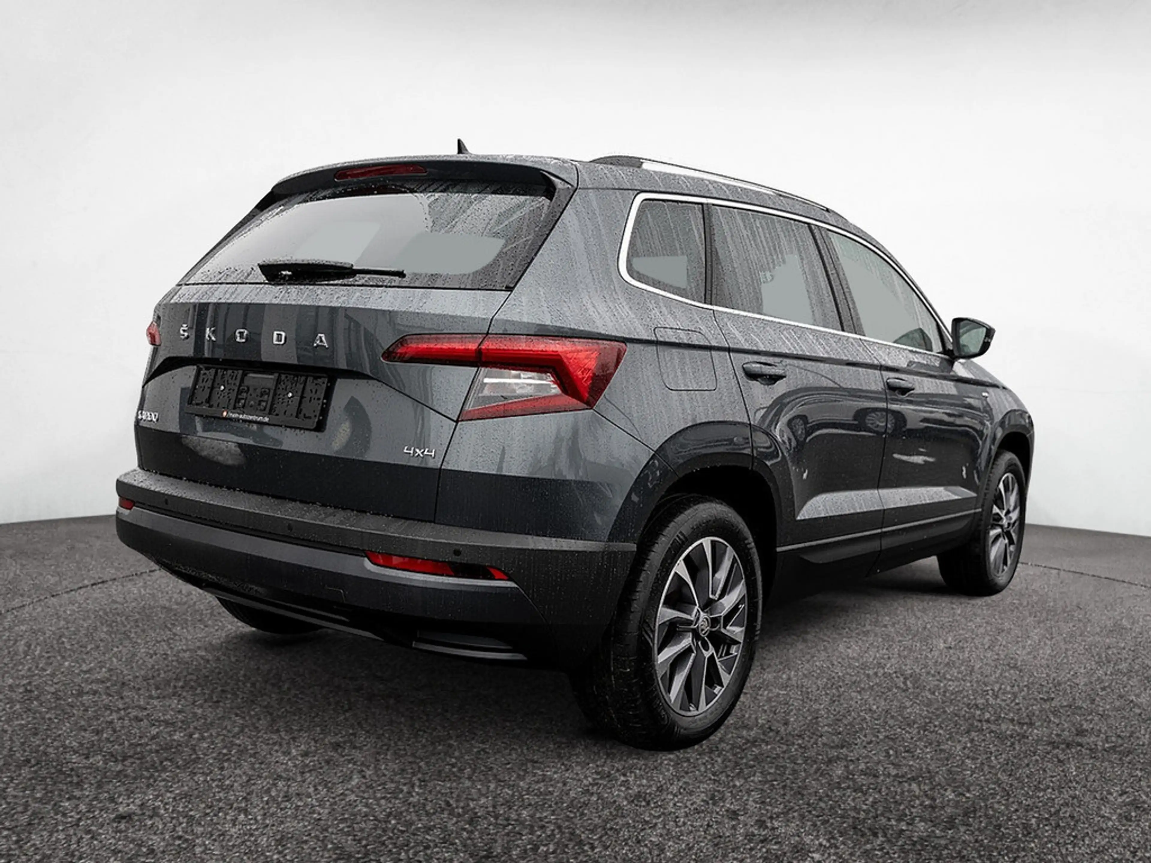 Skoda Karoq 2.0 TDI Drive 4x4 DSG AHK PANO Kam Navi — photo 3