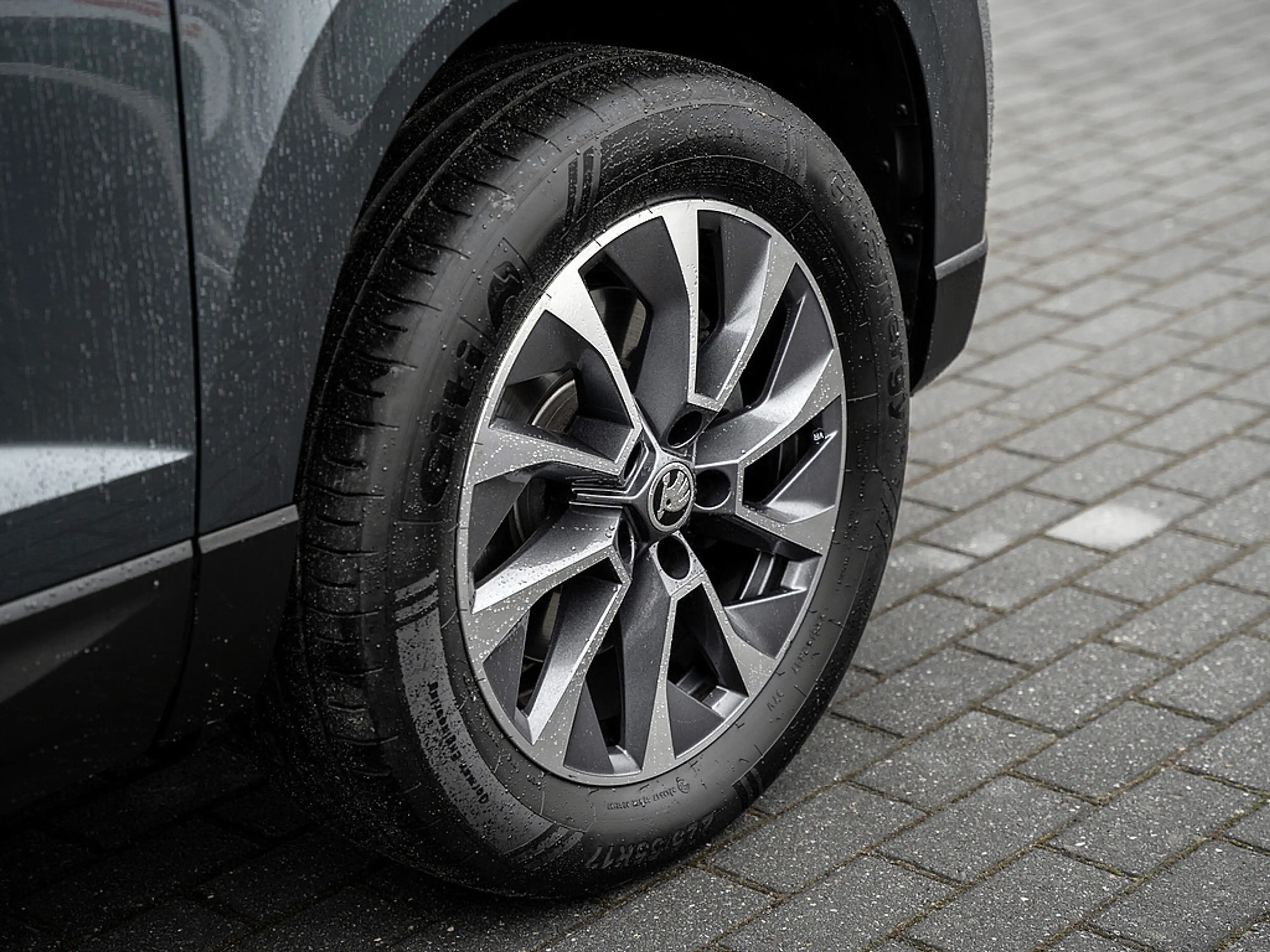 Skoda Karoq 2.0 TDI Drive 4x4 DSG AHK PANO Kam Navi — photo 5