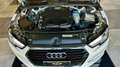 Audi A4 30 2.0 TDi 122CV S-Tronic Business+ PELLE TOTALE Alb - thumbnail 10