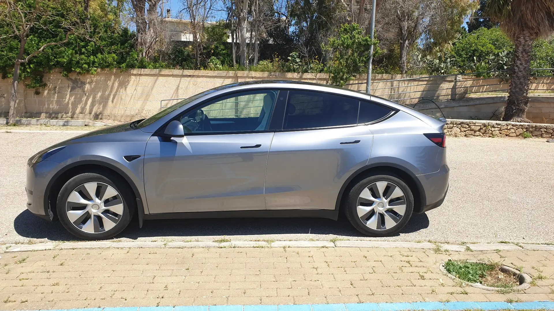 Tesla Model Y Long Range Single Motor rwd - 2