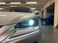 Lexus NX 300 1ª serie Hybrid 4WD Business Сірий - thumbnail 7
