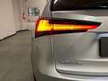 Lexus NX 300 1ª serie Hybrid 4WD Business Grau - thumbnail 8