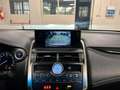 Lexus NX 300 1ª serie Hybrid 4WD Business Grey - thumbnail 14