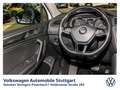 Volkswagen Tiguan Allspace Highline 2.0 TDI DSG Navi Kamera Weiß - thumbnail 10