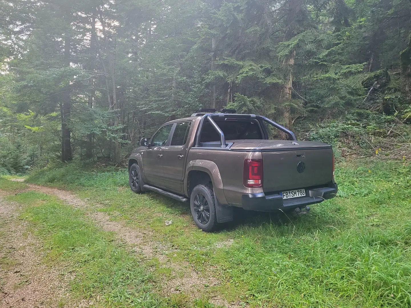 Volkswagen Amarok TDI 4Motion Braun - 2