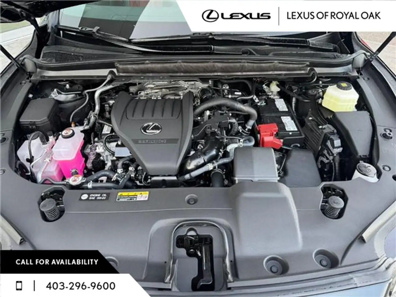 Lexus RX снимка Lexus RX