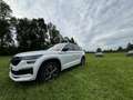 Skoda Kodiaq 2,0 TDI SCR 4x4 Sportline DSG Weiß - thumbnail 2