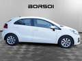 Kia Rio 3ª serie 1.1 CRDi 5p. Active Bianco - thumbnail 6
