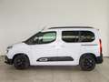 Citroen Berlingo BEV 50KWH TALLA M SHINE AUTO 136CV 5P Blanc - thumbnail 12