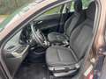 Fiat Tipo SW 1.4 Easy Business 95cv my19 Bronz - thumbnail 8