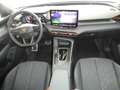 CUPRA Terramar 1.5 e-TSI 150 PS DSG Schwarz - thumbnail 17